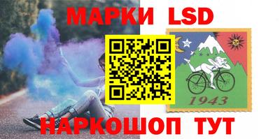 дмт Донской
