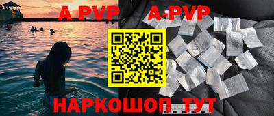 стафф Дубна