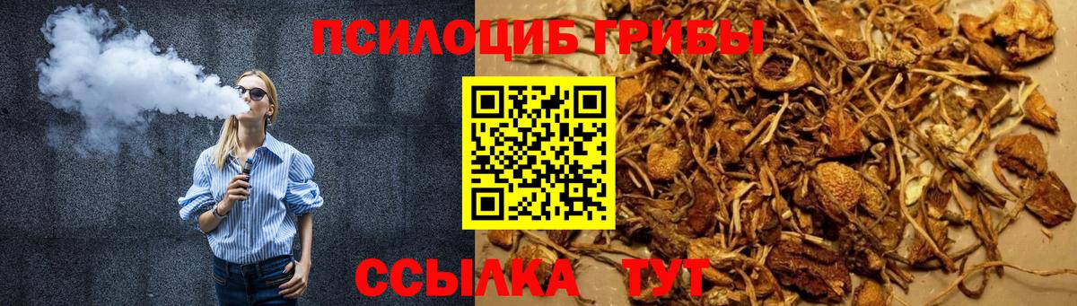 Медногорск  Псилоцибиновые грибы Magic Shrooms  Вход с VPN 