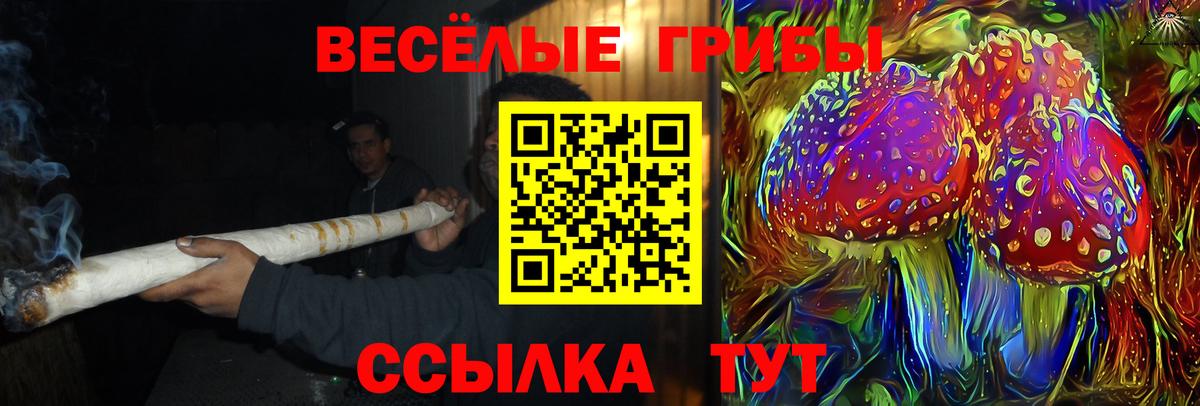 Псилоцибиновые грибы мухоморы Медногорск
